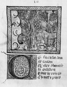 Der Fuchs, der Wolf und der Hund, aus Le Roman de Renart von French School