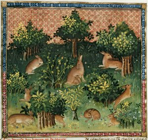 Hasen im Wald, aus dem Livre de la Chasse von Gaston Phoebus de Foix (1331-91) von French School