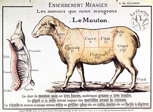 Hammelfleisch: Diagramm der verschiedenen Fleischstücke von French School
