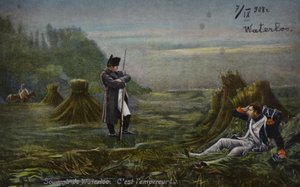 Napoleon bei Waterloo