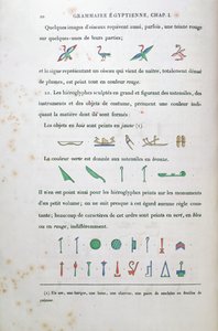 Notizen zur Färbung bestimmter Hieroglyphen, aus Grammaire Egyptienne von Jean Francois Champollion (1790-1832) 1836 von French School