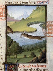 Otter - aus „Hunting Book of Gaston Phoebus, Count of Foix, Lord of Béarn“