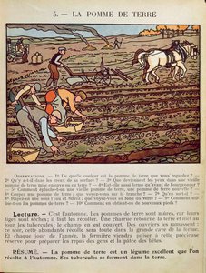 Seite aus einem Schulbuch, das den Kartoffelanbau illustriert, ca. 1910 von French School
