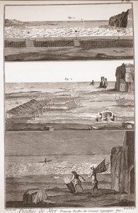 Wasserfischerei - „Die große Enzyklopädie oder das Wörterbuch der Wissenschaften, Künste und Berufe“ von Denis Diderot (1713-1784) und Jean d