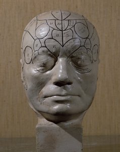 Phrenologischer Kopf von Jean Martin Charcot