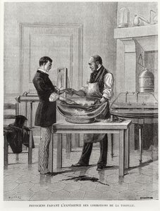 Physiker experimentieren an einem Torpedo, 2. Hälfte des 19. Jahrhunderts