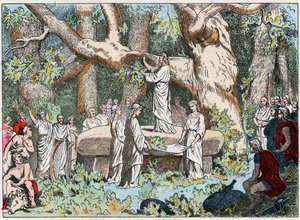 Mistelsammeln der Druiden in Gallien, Ende des 19. Jahrhunderts (Gravur)