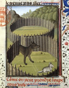 Wolf Falle - in „Jagd Buch von Gaston Phoebus, Graf von Foix, Herr von Béarn“ von French School