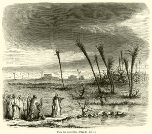 Plage der Heuschrecken von French School