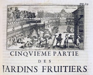 Obstbaumpflanzung, aus Le Parfait Jardinier, ou Instruction pour les Jardins Fruitiers et Potager, von Jean de la Quintinye, veröffentlicht 1695 von French School
