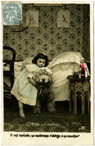 Postkarte: Toto ist krank, seine Herrin zwingt ihn ins Bett zu gehen, Prinz