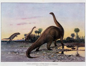 Prähistorische Tiere: ein Laelaps greift einen Brontosaurus an - in „Das Universum und die Menschheit“ von French School