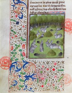 Kaninchenbau, aus dem Livre de la Chasse von Gaston Phebus de Foix (1331-91)
