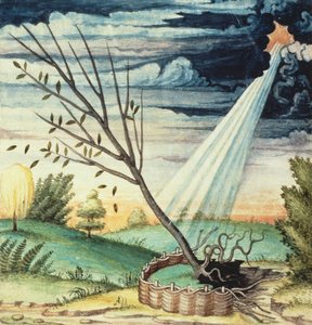 SMM2 p.17 Sturm, aus Theatre des Vices et Vertus, von Jan van der Noot (ca. 1539-95)