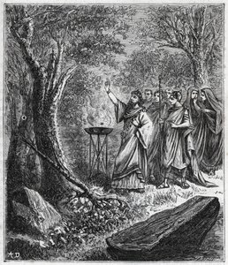 STRUFERTARI (Fest im antiken Rom zur Reinigung der verdorrten Bäume) - Gravur in „Wissenschaften für alle zugänglich gemacht - populäre Physik und Chemie“ von Alexis Clerc - Ende des 19. Jahrhunderts. Private Sammlung. von French School