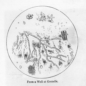 Sediment von Wasser aus einem Brunnen in Grenelle, im 15. Arrondissement von Paris von French School