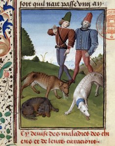 Kranke Jagdhunde - in „Jagd Buch von Gaston Phoebus, Graf von Foix, Herr von Béarn“ von French School