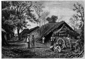 Seidenproduktion in einem Dorf in der Nähe von Mandalay, Burma, wo Seidenraupen ihre Baumwolle spinnen. (Von einer Fotografie von Graf Mahe de La Bourdonnais). Gravur in „La Nature: revue des sciences et de leurs applications aux arts et a l
