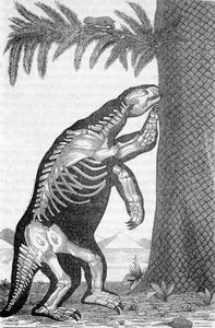 Skelett des Megatheriums - in „Die Welt vor der Schöpfung des Menschen“ von Camille Flammarion von French School