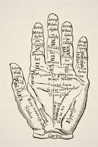 Exemplar der linken Hand mit den Linien und ihren horoskopischen Bezeichnungen, aus 