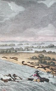 Der Elefantenfluss, Südafrika, graviert von Coiny von French School