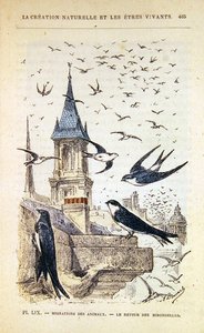 Die Rückkehr der Schwalben, ca. 1880 von French School