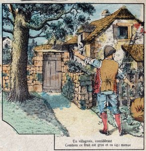 Die Eichel und der Kürbis. Fabeln von Jean de La Fontaine (1621-95). Epinal-Bildgebung Ende des 19. Jahrhunderts. von French School