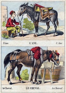 Der Esel und das Pferd. Gravur in "Buffon Alphabet des Animaux" von French School