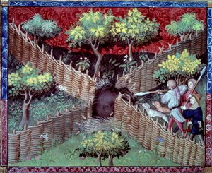 Die Miniatur-Wildschweinjagd aus „Das Buch der Jagd“ von Gaston III Phoebus, Graf von Foix, Herr von Béarn (1331-1391)