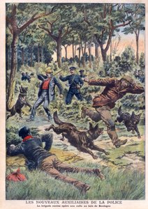 Die neuen Polizeihelfer: Die Hundestaffel führt eine Razzia im Bois de Boulogne durch, Illustration aus „Le Petit Journal“ vom 28. Juli von French School