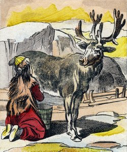Das melkende Rentier. Gravur in "Buffon Alphabet des Animaux" von French School