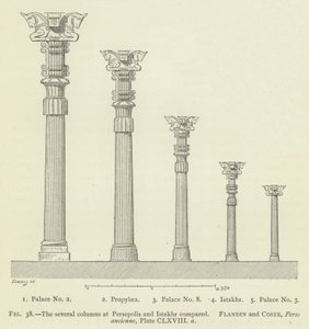 Die verschiedenen Säulen in Persepolis und Istakhr im Vergleich von French School