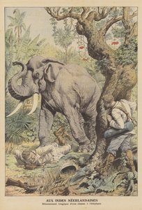 Tragisches Ende einer Elefantenjagd in Niederländisch-Indien von French School