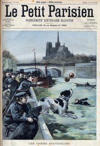 Ausbildung von Rettungshunden durch die Polizei in der Seine in Paris. Gravur in „Le Petit Parisien“. von French School