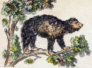 Unau (Faultier). Gravur in „Alphabet der wilden Tiere“. 9. Serie. Bildersammlung von Epinal, Pellerin, Drucker-Verleger, um 1870. Holzschnitte, schabloniert. 16 Seiten. Dim: 20 x 15 cm. Private Sammlung