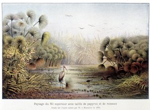 Oberer Nilübergang mit Papyrus und Schilf von French School