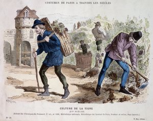 Weinkultur im 15. Jahrhundert - in Costume de Paris durch die Jahrhunderte
