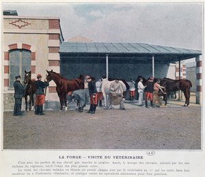 Besuch des Armeeveterinärs in der Kaserne, 1897