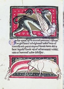 Wildschwein und Greif, Miniatur aus dem Saltykowchsh Edrin Bestiarium von French School