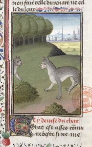 Wildkatzen, aus dem Livre de la Chasse von Gaston Phebus de Foix (1331-91)