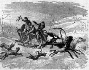 Wolfsjagd in Russland