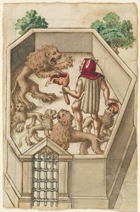 "Füttere keine Dinge, die scharfe Krallen haben" [fol. 38 recto]