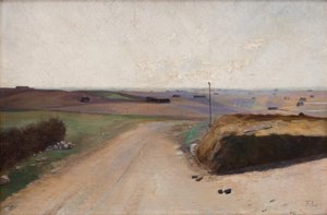 Eine Landschaft. Die Insel Mors, Jütland