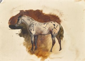 Gefleckter Schimmel von Friedrich August Mathias Gauermann