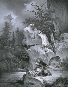 Geier mit totem Hirsch