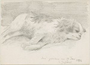 Hundestudien von Friedrich August von Kaulbach