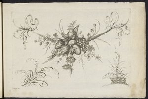 Feston aus Früchten, Blättern und Blumen von Friedrich Jacob Morisson