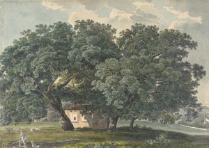 Italienische Landschaft mit Bäumen recto, 1815-21 von Friedrich Salathé