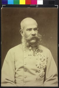 Franz Joseph I. von Fritz Luckhardt