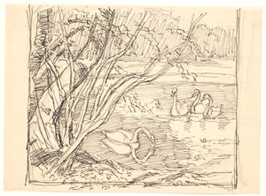 Ein See mit vier Schwänen